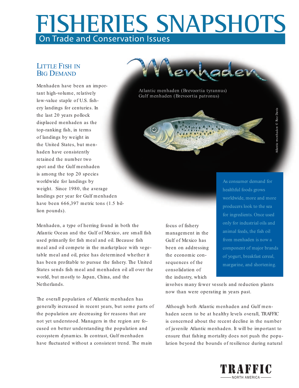 Fisheries Snapshots: Menhaden