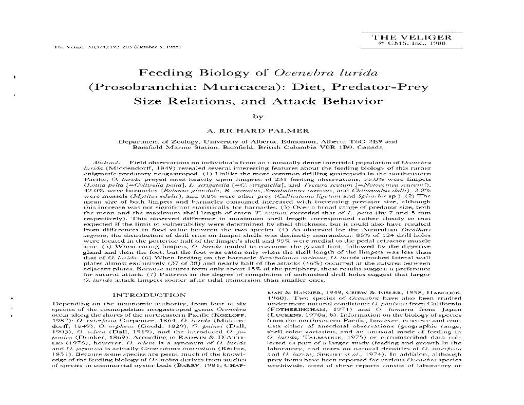 Feeding Biology of Oceriebra Lurida (Prosobranchia: Muricacea): Diet, Predator-Prey Size Relations, and Attack Behavior