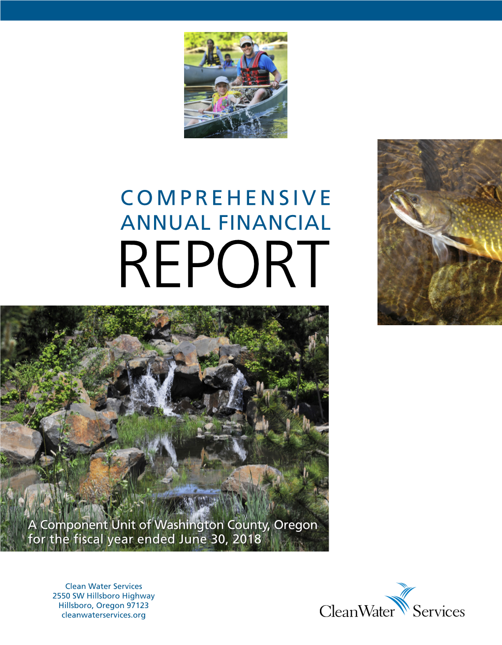 Comprehensive Annual Financial Report