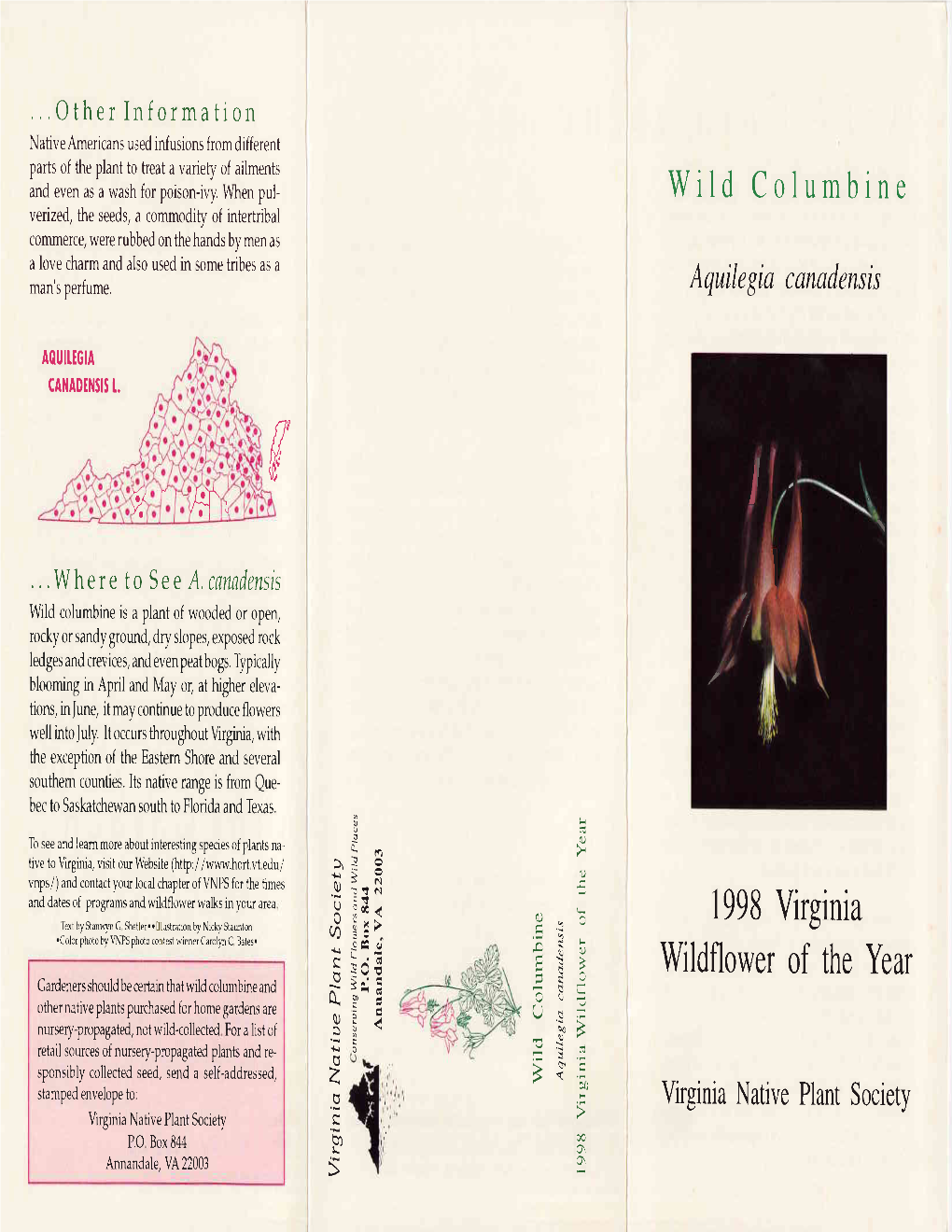 1998 Wild Columbine (Aquilegia Canadensis)