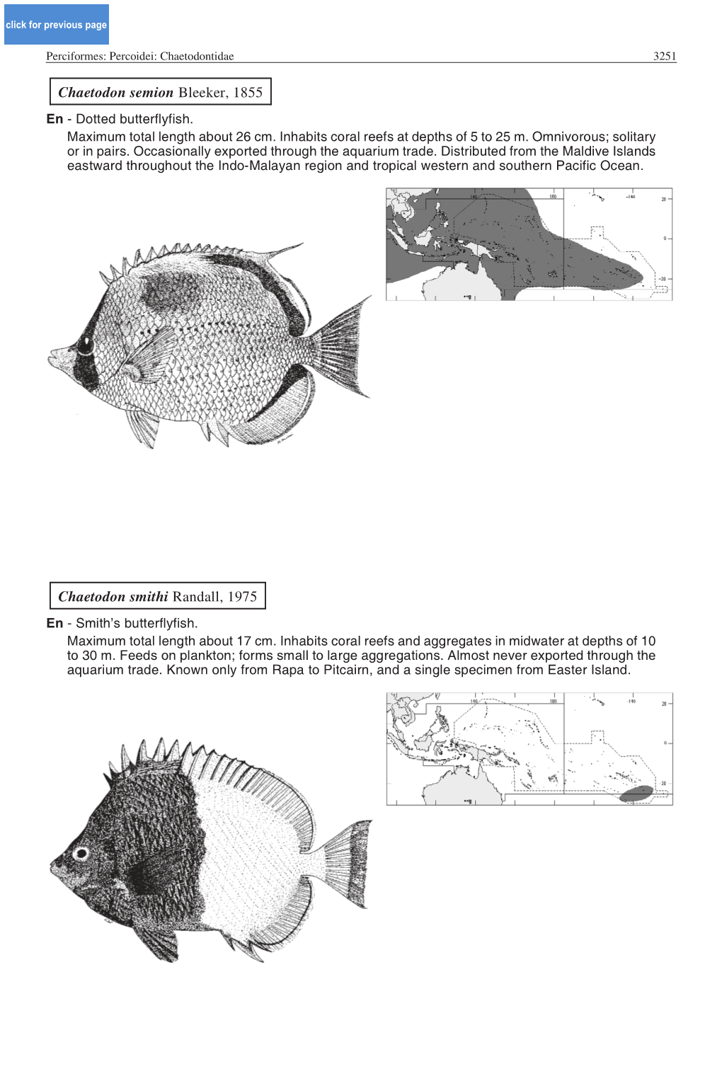 Chaetodon Semion Bleeker, 1855 Chaetodon Smithi Randall, 1975