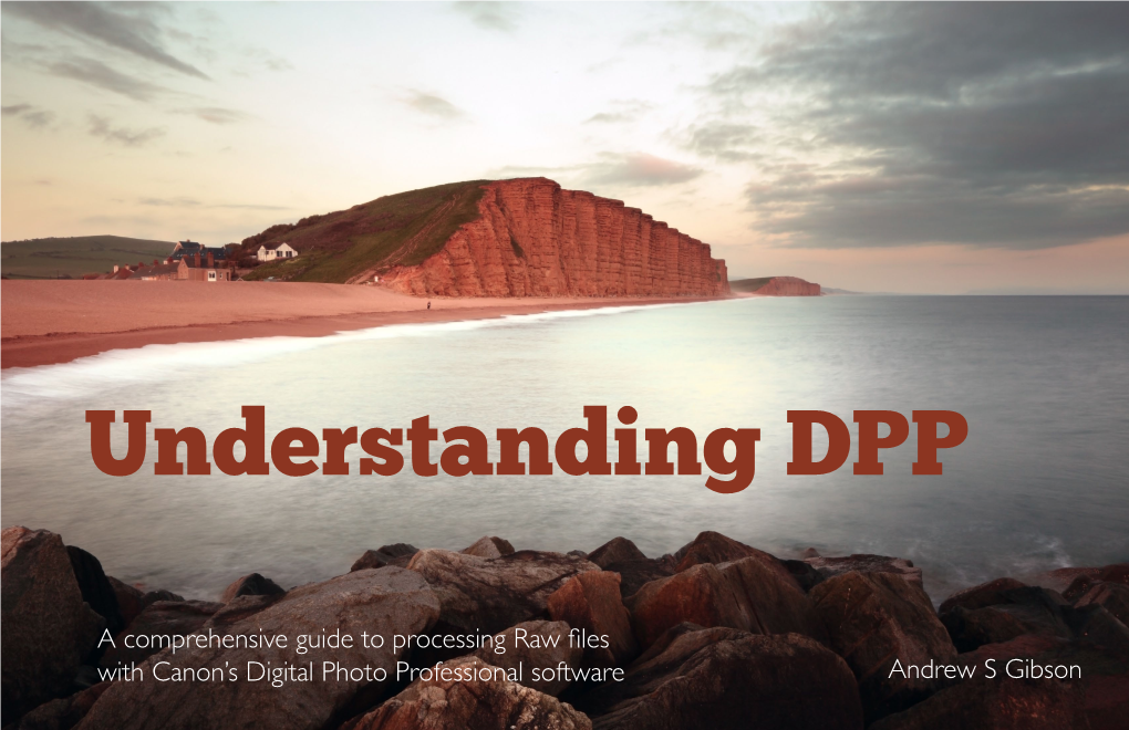 Understanding DPP