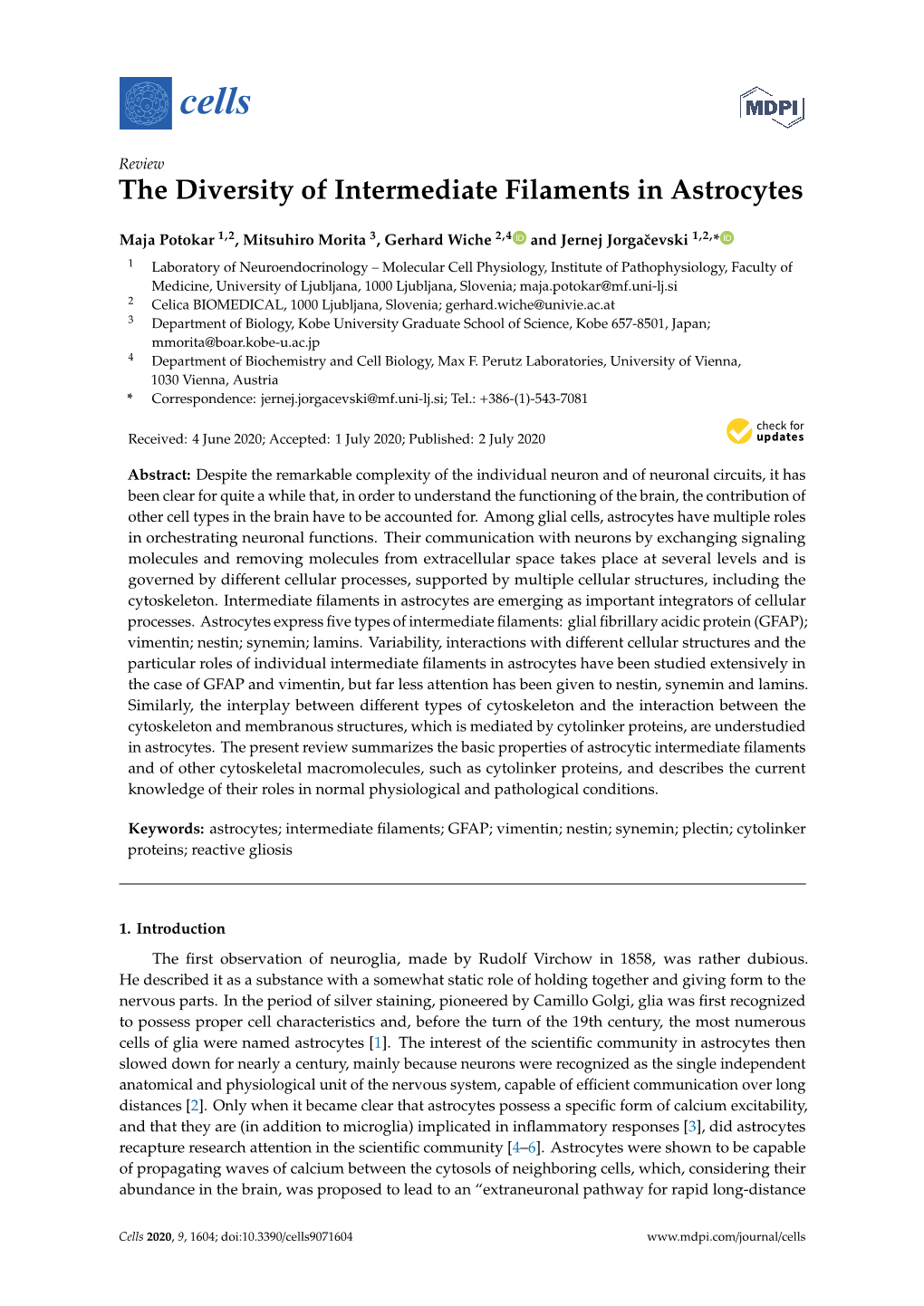 The Diversity of Intermediate Filaments in Astrocytes