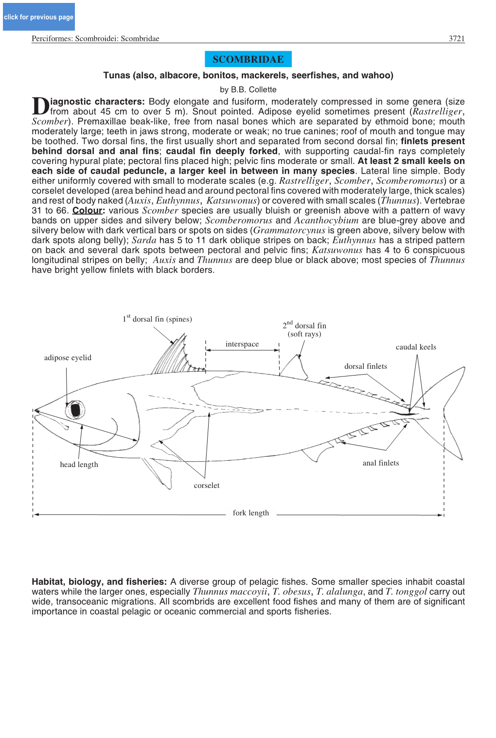 Scombridae 3721