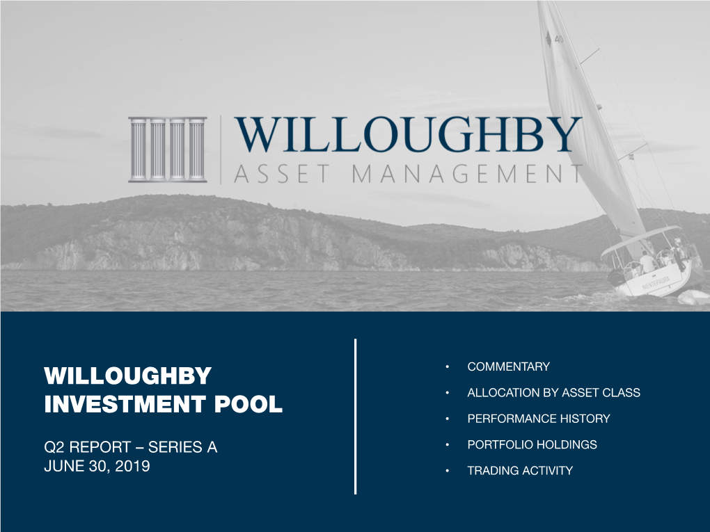 Willoughby Investment Pool – Series a Commentary Q2 Report – June 30, 2019