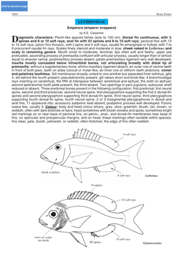LETHRINIDAE Emperors (Emperor Snappers) by K.E