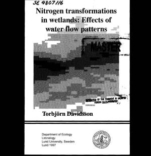 Nitrogen Transformations in Wetlands: Effects of Water Flow Patterns