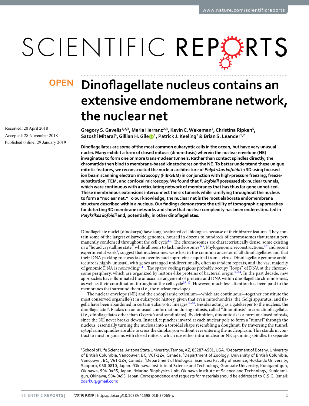 Dinoflagellate Nucleus Contains an Extensive Endomembrane Network