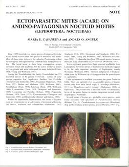 Ectoparasitic Mites (Acari) on Andino-Patagonian Noctuid Moths (Lepidoptera: Noctuidae)