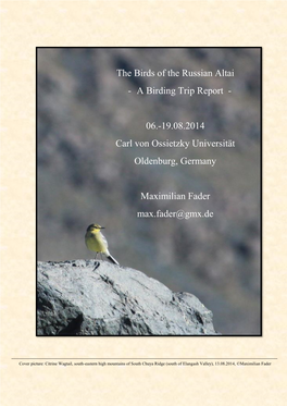 The Birds of the Russian Altai - a Birding Trip Report