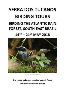 Serra Dos Tucanos Birding Tours Birding the Atlantic Rain Forest, South-East Brazil 14Th – 21St May 2018