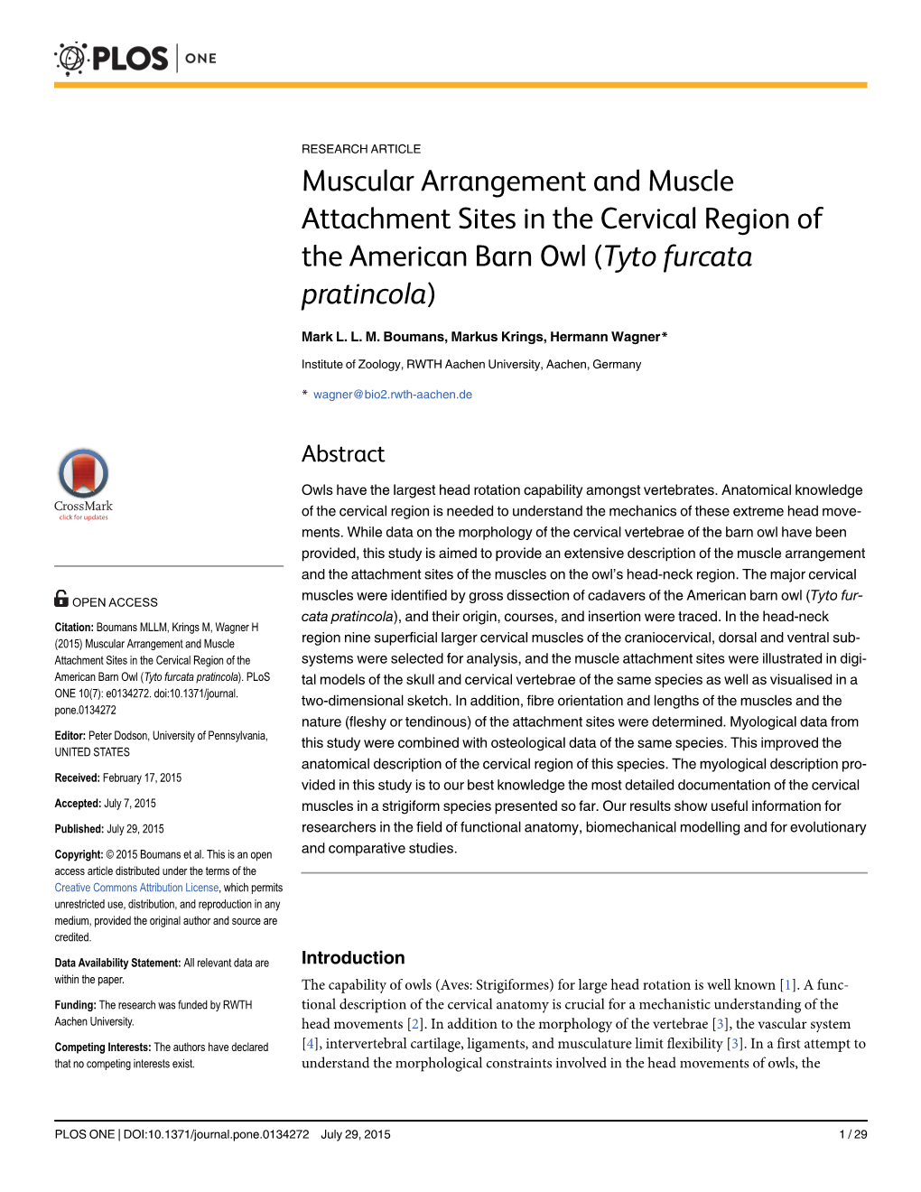 Muscular Arrangement and Muscle Attachment Sites in the Cervical Region of the American Barn Owl (Tyto Furcata Pratincola)