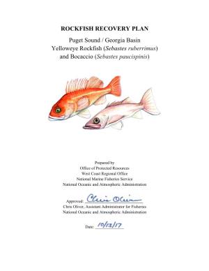 Yelloweye Rockfish (Sebastes Ruberrimus) and Bocaccio (Sebastes Paucispinis)