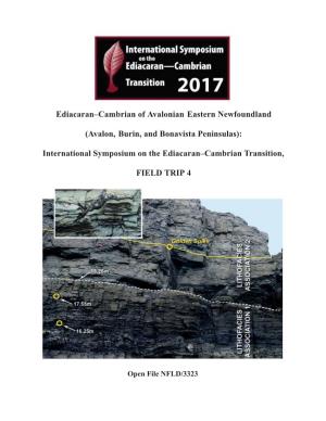 Ediacaran–Cambrian of Avalonian Eastern Newfoundland