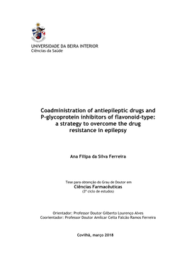 Coadministration of Antiepileptic Drugs and P-Glycoprotein Inhibitors of Flavonoid-Type: a Strategy to Overcome the Drug Resistance in Epilepsy