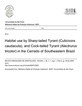 And Cock-Tailed Tyrant (Alectrurus Tricolor) in the Cerrado of Southeastern Brazil