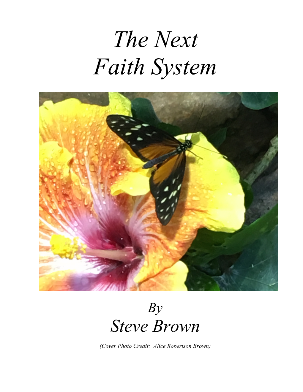 V3 2017 the Next Faith System