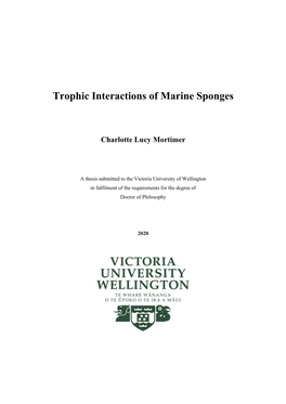 Trophic Interactions of Marine Sponges