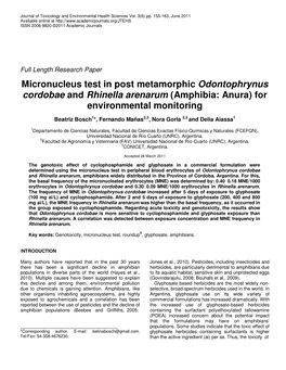 Micronucleus Test in Post Metamorphic Odontophrynus Cordobae and Rhinella Arenarum (Amphibia: Anura) for Environmental Monitoring