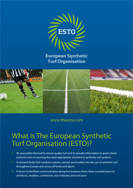 What Is the European Synthetic Turf Organisation (ESTO)?
