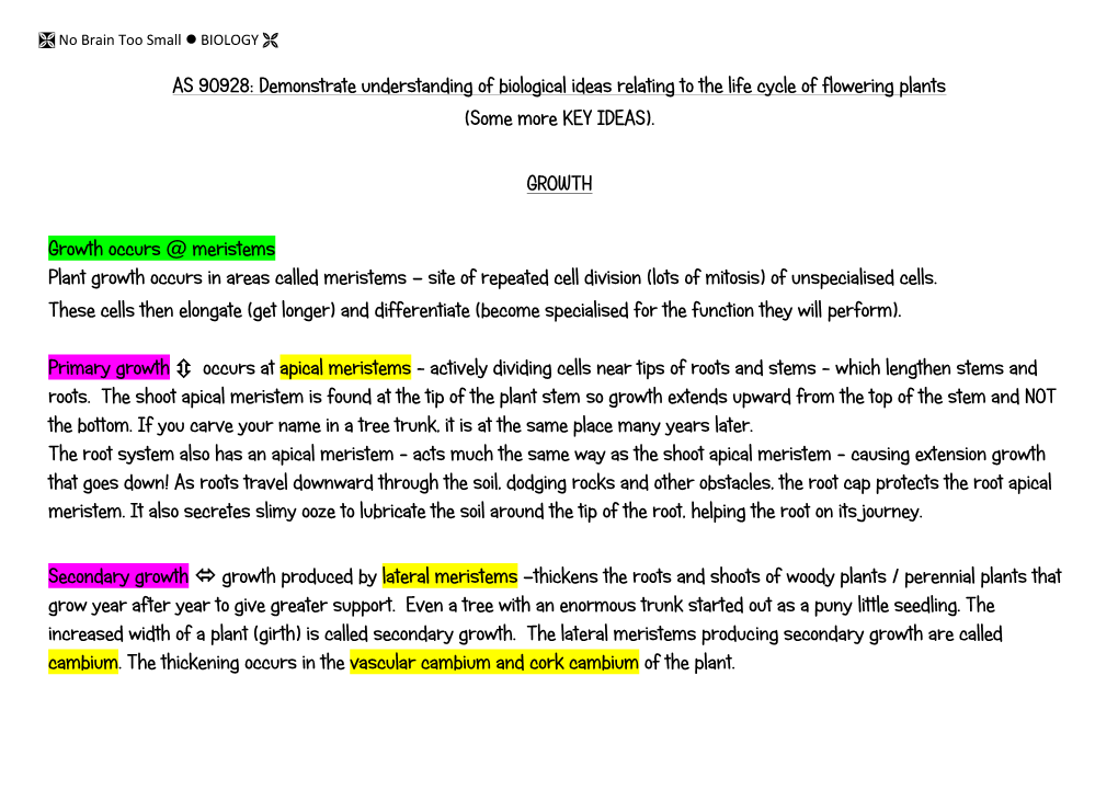 AS 90928: Demonstrate Understanding of Biological Ideas Relating to the Life Cycle of Flowering Plants (Some More KEY IDEAS)