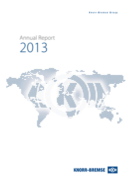 Annual Report 2013