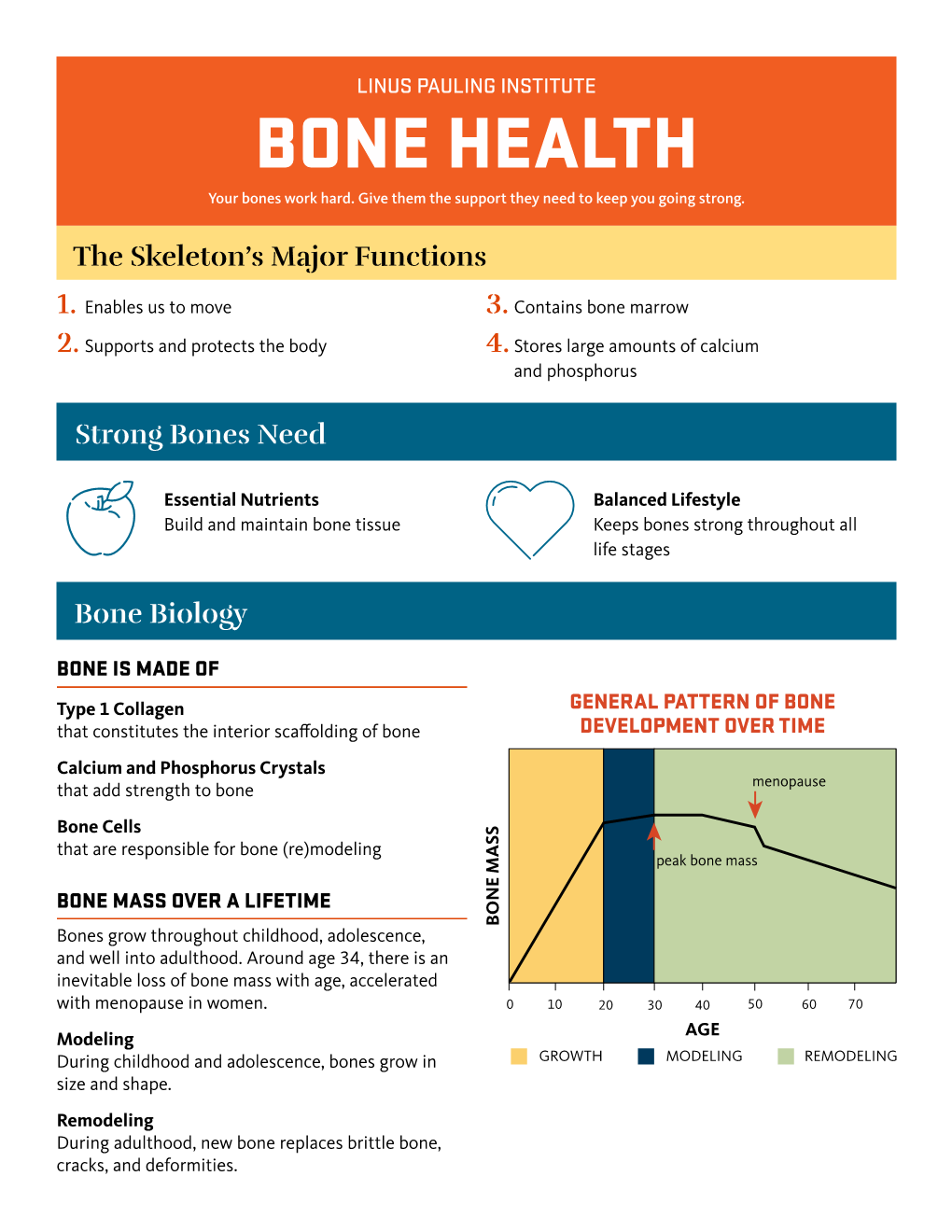 BONE HEALTH Your Bones Work Hard