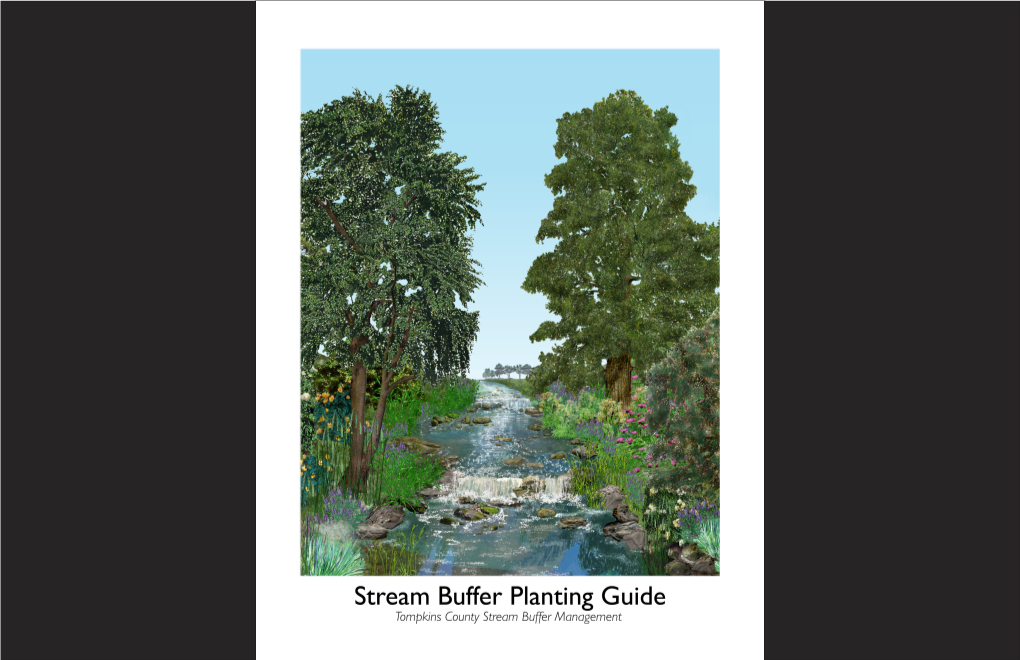 Stream Buffer Planting Guide Is One Such Tool