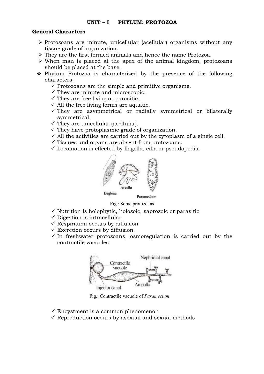 I PHYLUM: PROTOZOA General Characters Protozoans Are