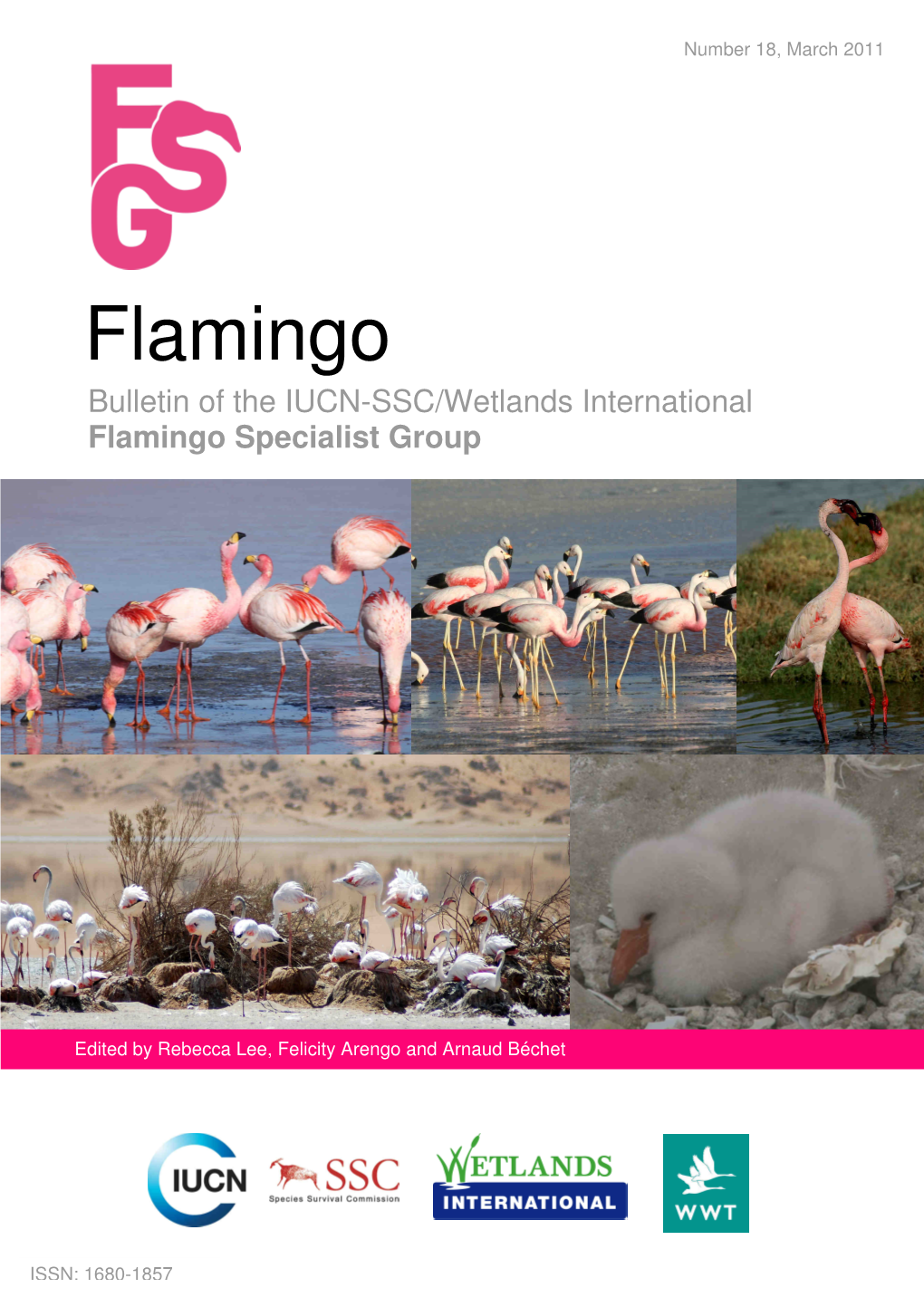 Flamingo Atlas