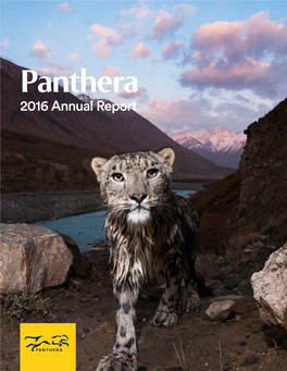 2016 Annual Report