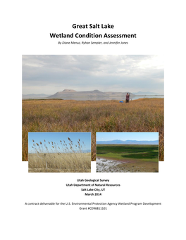 Great Salt Lake Wetland Condition Assessment by Diane Menuz, Ryhan Sempler, and Jennifer Jones