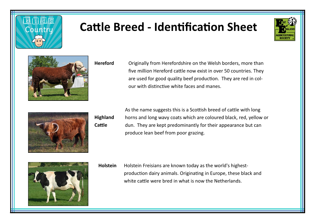 Cattle Breed - Identification Sheet