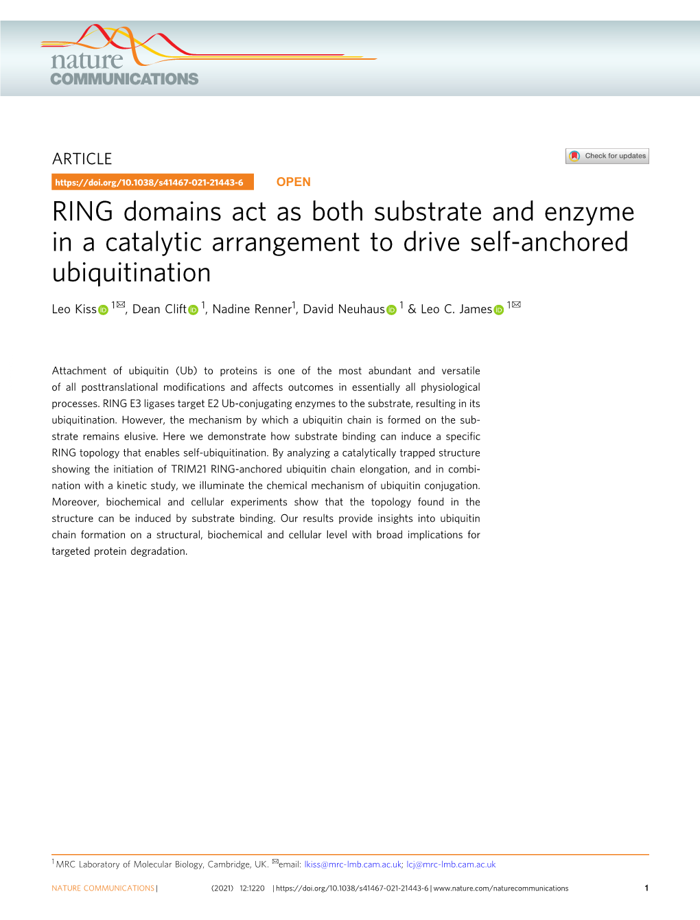 RING Domains Act As Both Substrate and Enzyme in a Catalytic