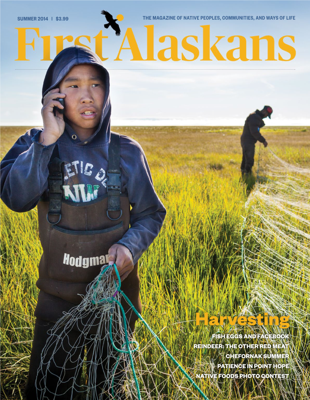 Harvesting FISH EGGS and FACEBOOK REINDEER: the OTHER RED MEAT CHEFORNAK SUMMER PATIENCE in POINT HOPE NATIVE FOODS PHOTO CONTEST Sit’ Tlein