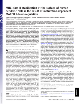 MHC Class II Stabilization at the Surface of Human Dendritic Cells Is the Result of Maturation-Dependent MARCH I Down-Regulation