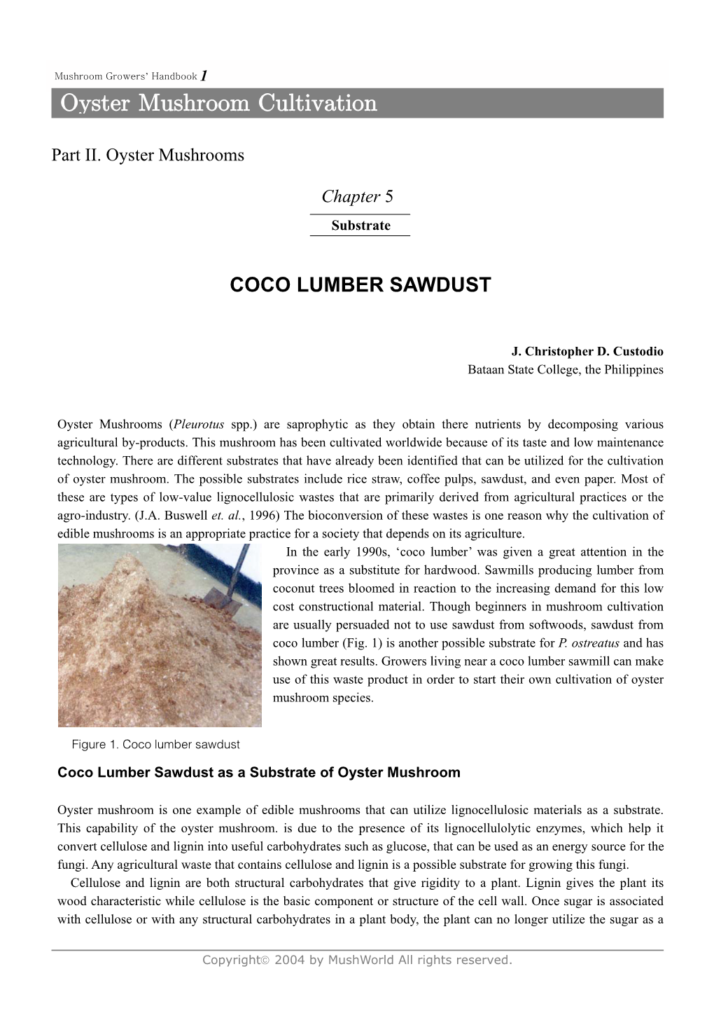 Coco Lumber Sawdust