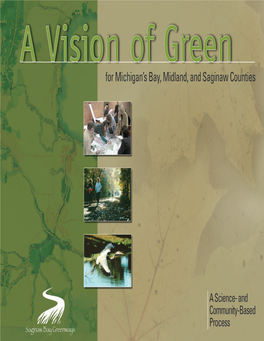 Vision of Green for Michigan's Bay, Midland, and Saginaw Counties
