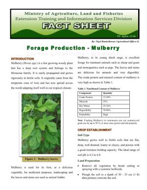 INTRODUCTION Mulberry (Morus Spp.) Is a Fast Growing Woody Plant That Has a Deep Root System and Belongs to the Moraceae
