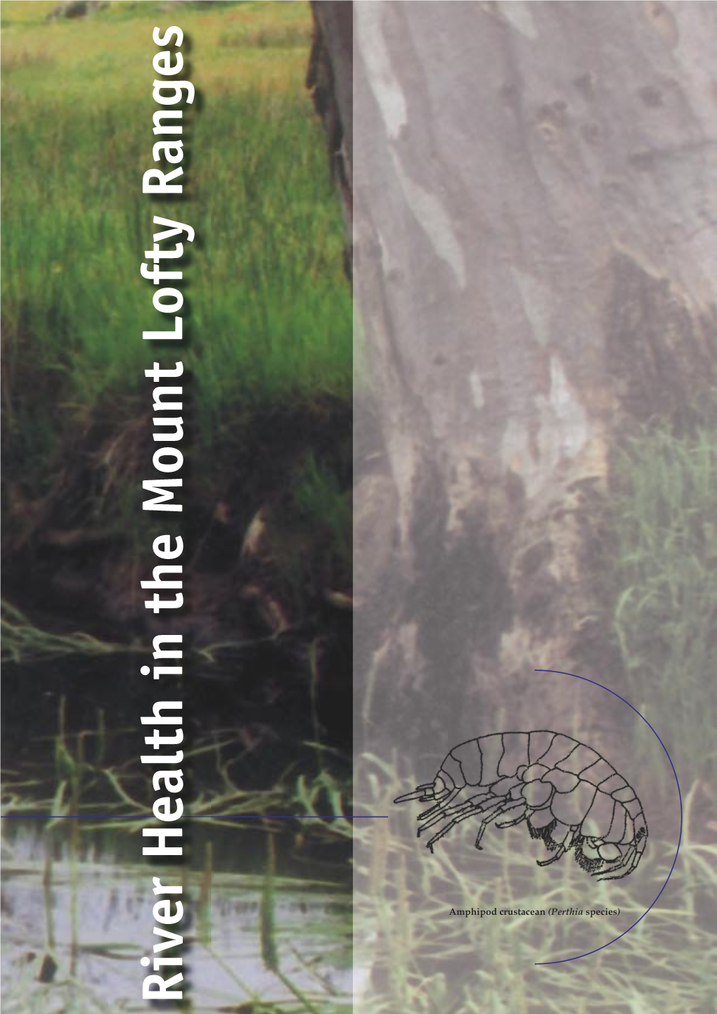 River Health in the Mount Lofty Ranges