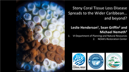 Stony Coral Tissue Loss Disease Spreads to the Wider Caribbean… and Beyond?