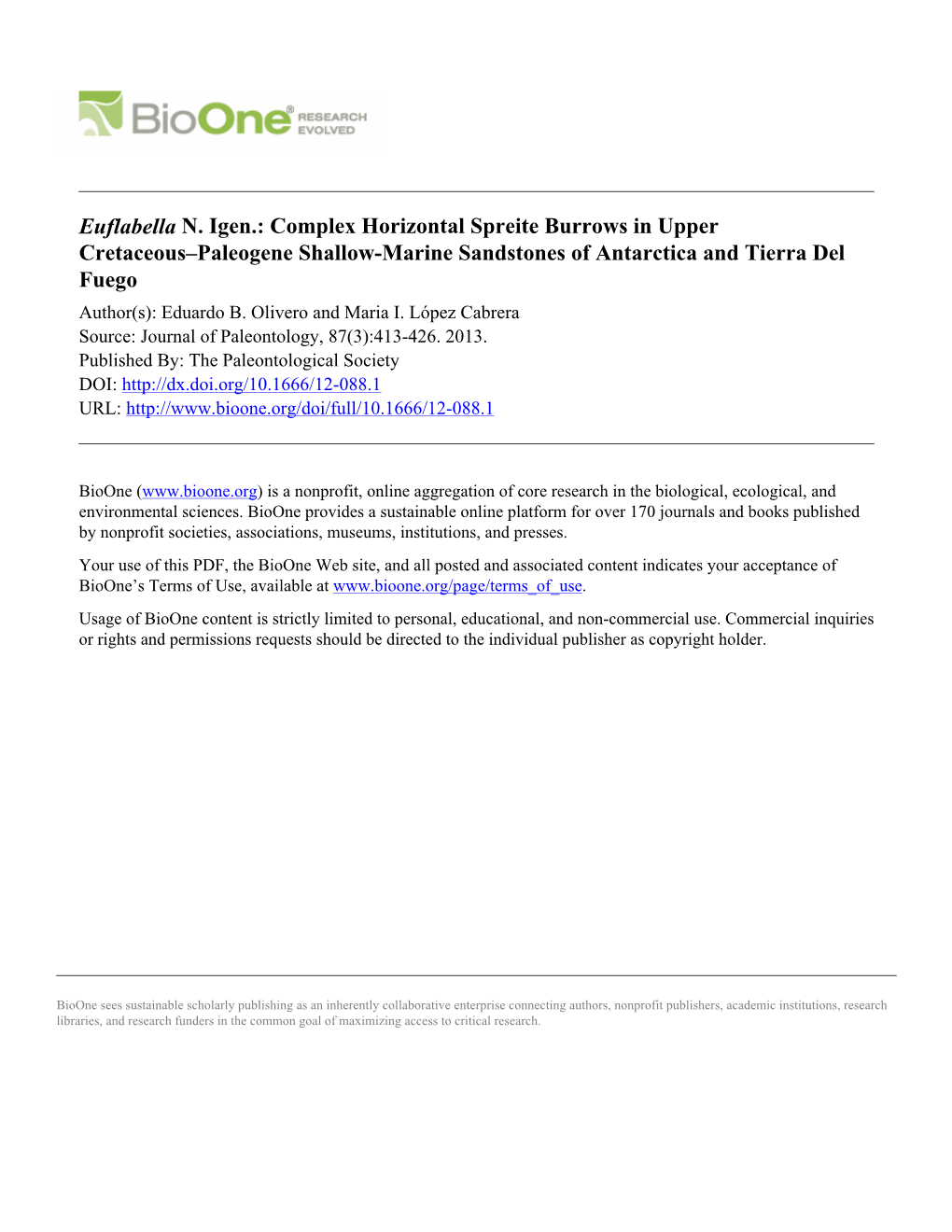 Euflabella N. Igen.: Complex Horizontal Spreite Burrows In