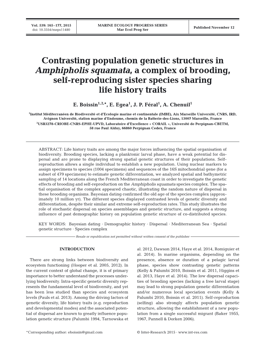 Contrasting Population Genetic Structures in Amphipholis Squamata, a Complex of Brooding, Self-Reproducing Sister Species Sharing Life History Traits