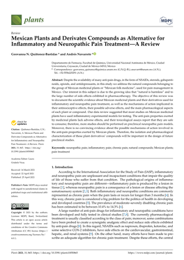 Mexican Plants and Derivates Compounds As Alternative for Inﬂammatory and Neuropathic Pain Treatment—A Review