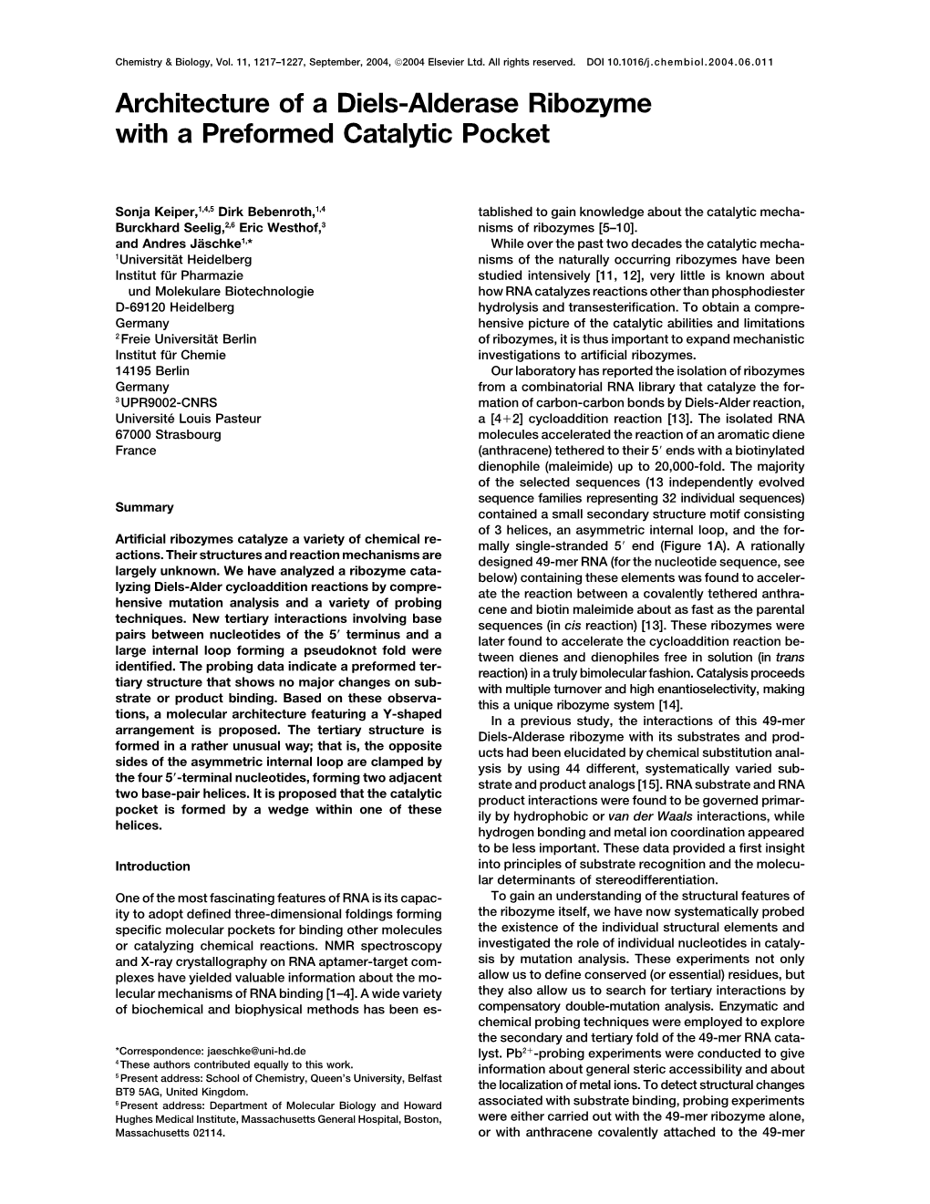 Architecture of a Diels-Alderase Ribozyme with a Preformed Catalytic Pocket