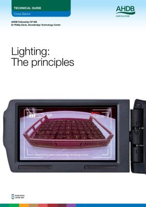 Lighting: the Principles