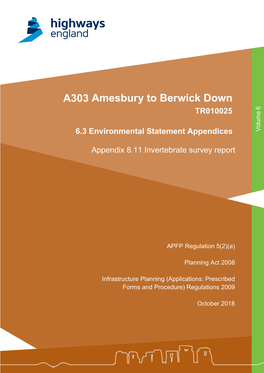 A303 Amesbury to Berwick Down