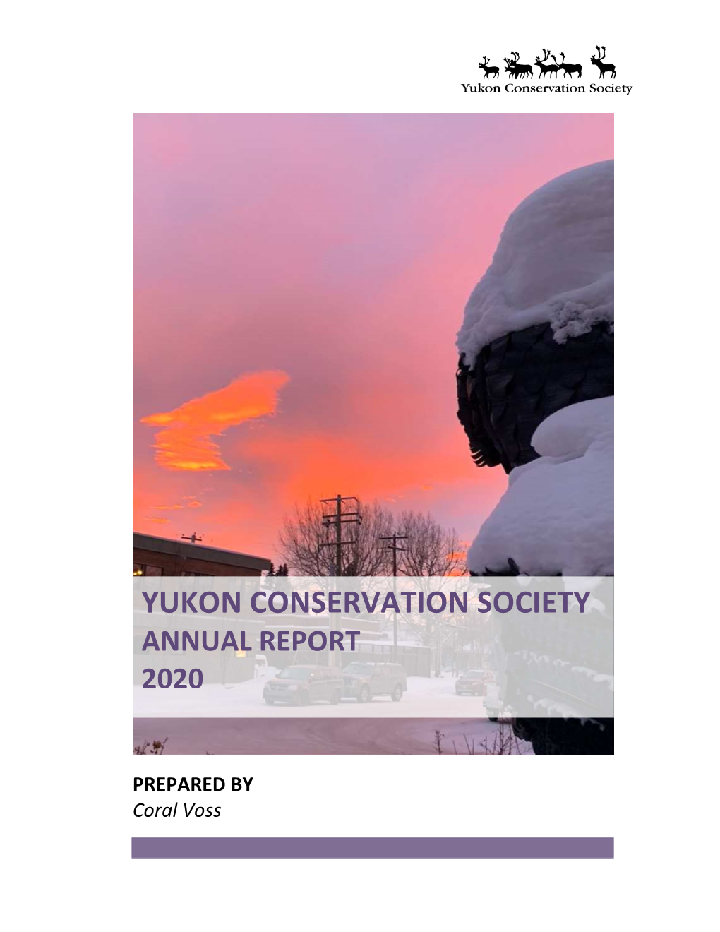 YCS 2020 Annual Report