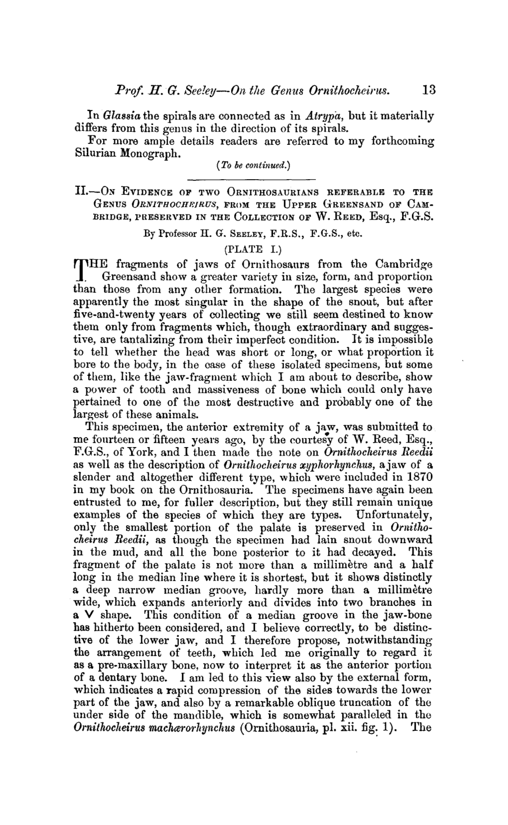 Prof.H.G.Seeky—On the Genus Ornithocheirus. 13