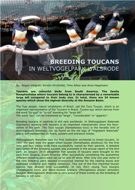 Breeding Toucans in Weltvogelpark Walsrode